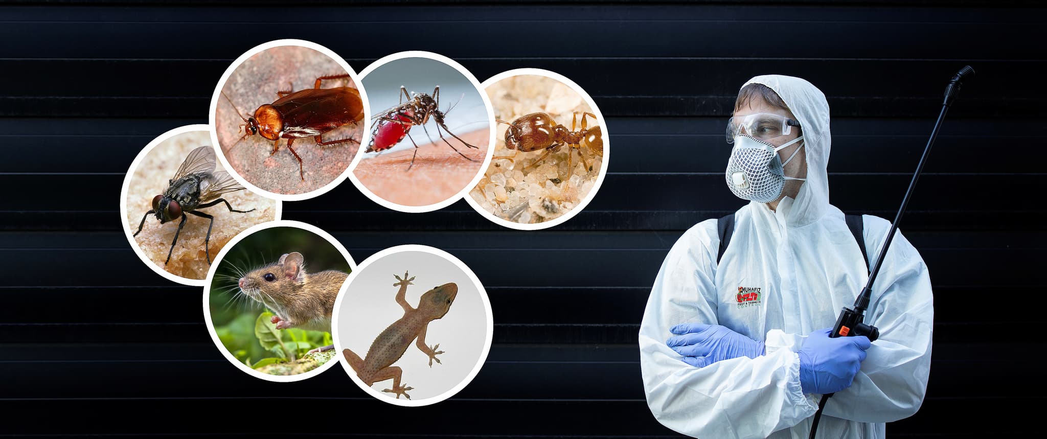 Commercial Pest Control Solutions