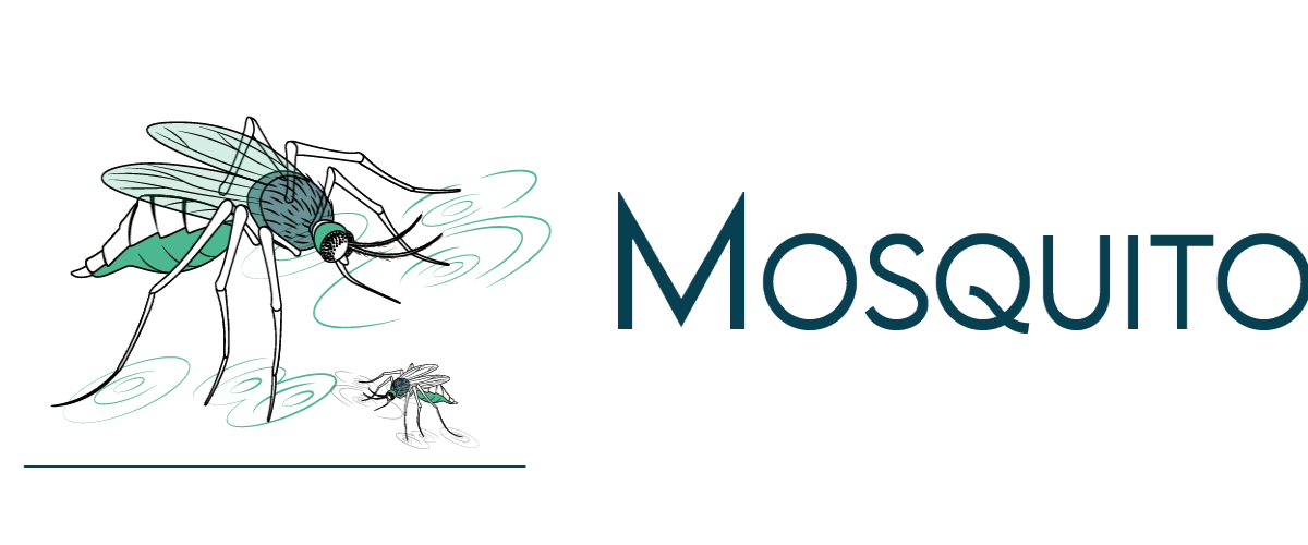 Mosquito